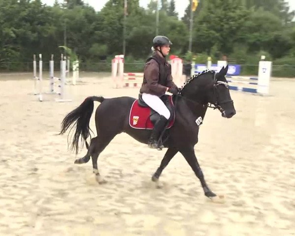 Bayerisches Landesponyturnier 2013
