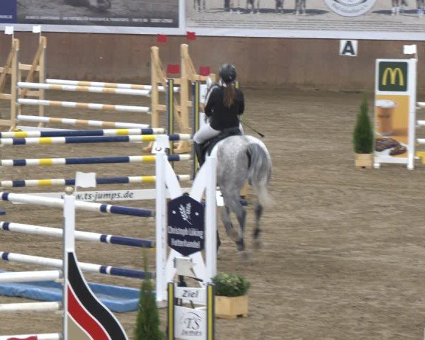 Reitturnier Bad Salzuflen 2024