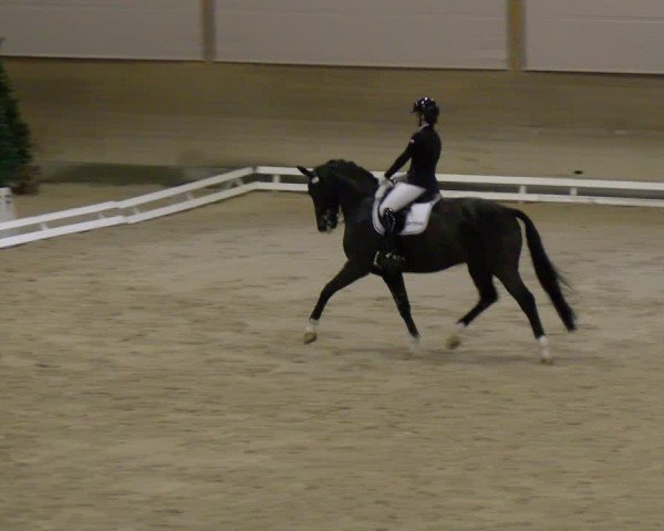 Reitturnier Schaffhausen 2024