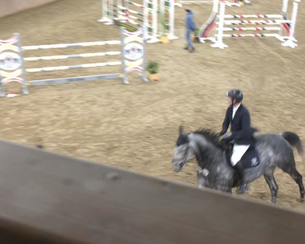 Reitturnier Bad Salzuflen 2024