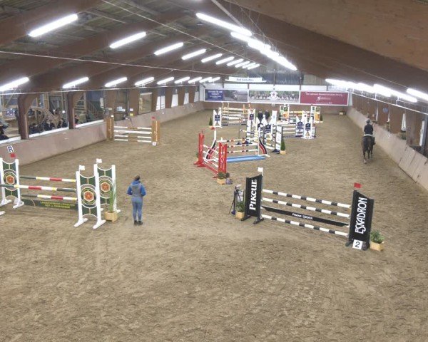 Reitturnier Bad Salzuflen 2024