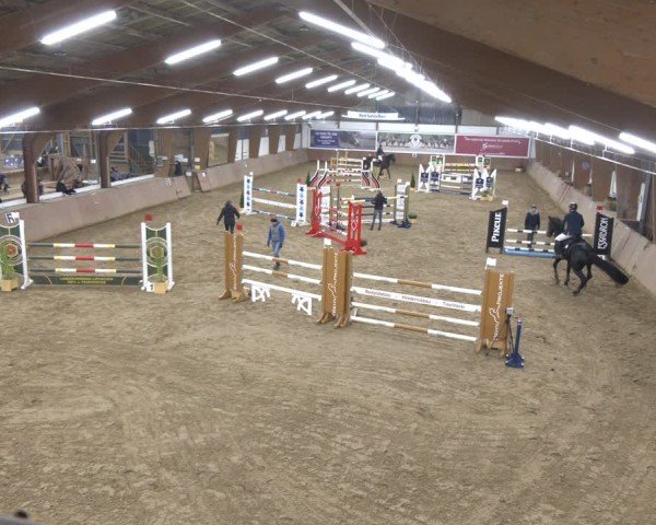 Reitturnier Bad Salzuflen 2024