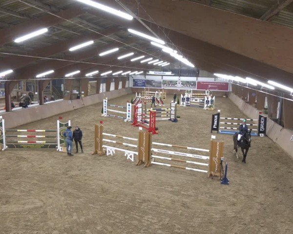 Reitturnier Bad Salzuflen 2024