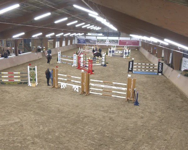 Reitturnier Bad Salzuflen 2024