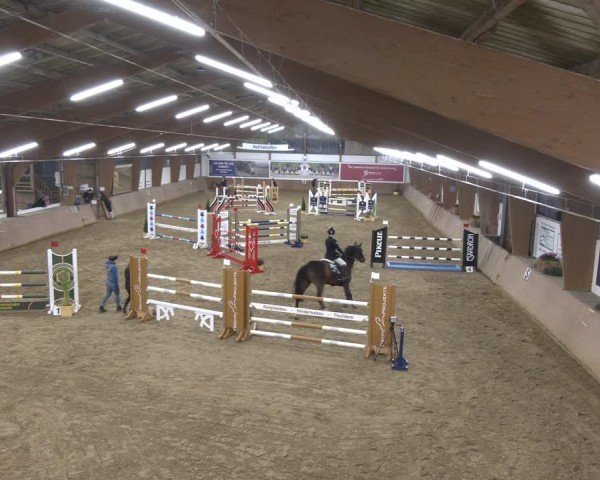 Reitturnier Bad Salzuflen 2024