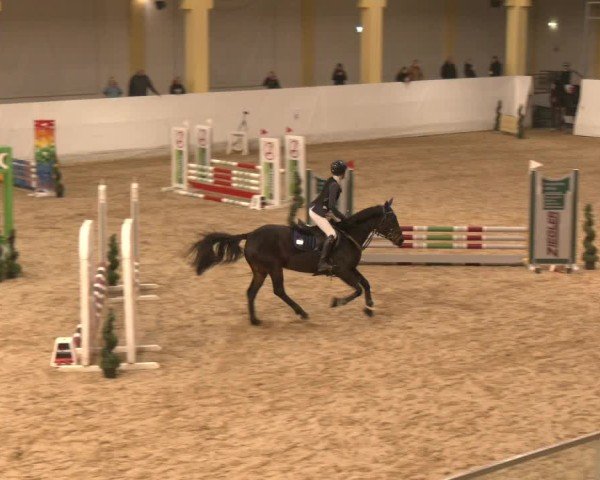 Reitturnier Stadl-Paura 2024