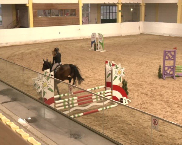Reitturnier Stadl-Paura 2024