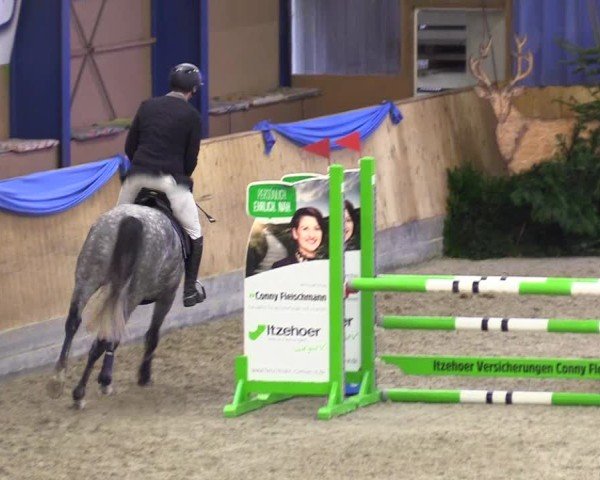 Reitturnier Großenwiehe 2024