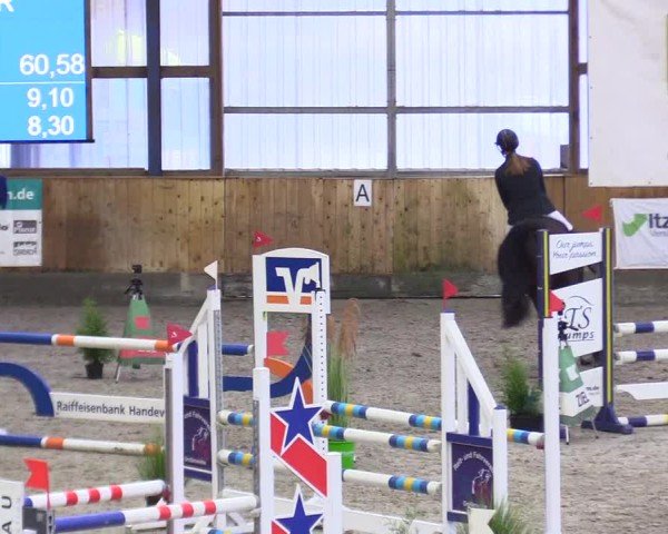 Reitturnier Großenwiehe 2024
