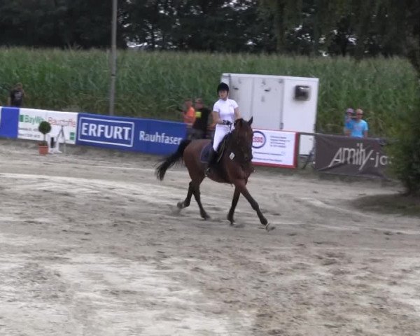 Waltroper Reitertage vom 06.-11.08.2013