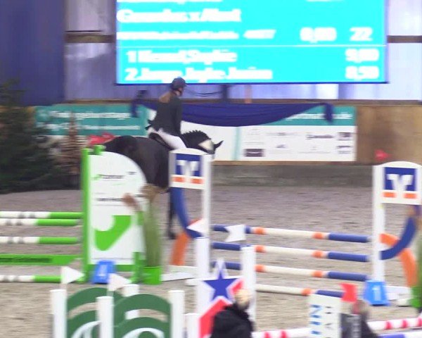 Reitturnier Großenwiehe 2024