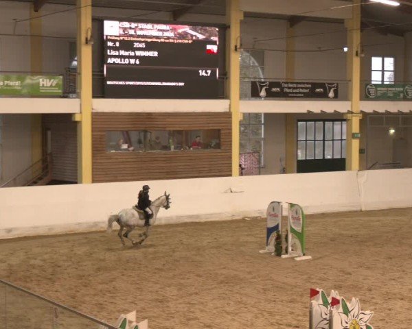 Reitturnier Stadl-Paura 2024