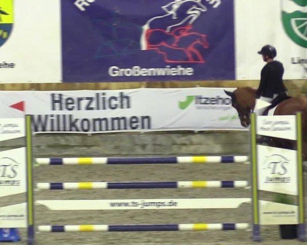Reitturnier Großenwiehe 2024