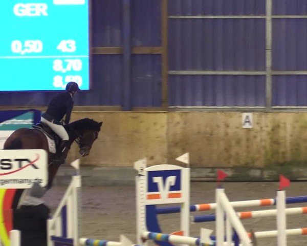 Reitturnier Großenwiehe 2024