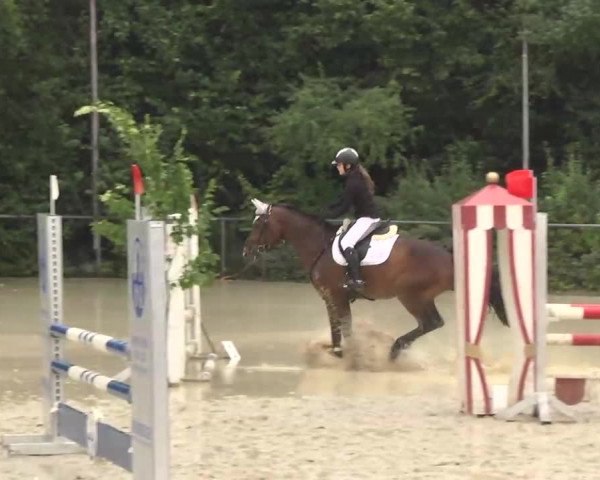 Reitturnier Thierhaupten-Ötz 2013