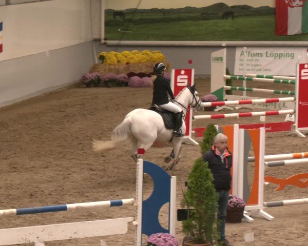 Reitturnier Legden | Ponyturnier 2024