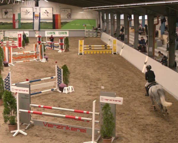 Reitturnier Legden | Ponyturnier 2024
