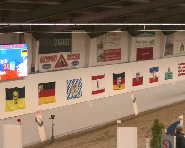 Reitturnier Legden | Ponyturnier 2024