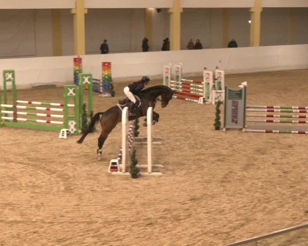 Reitturnier Stadl-Paura 2024