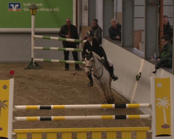 Reitturnier Legden | Ponyturnier 2024