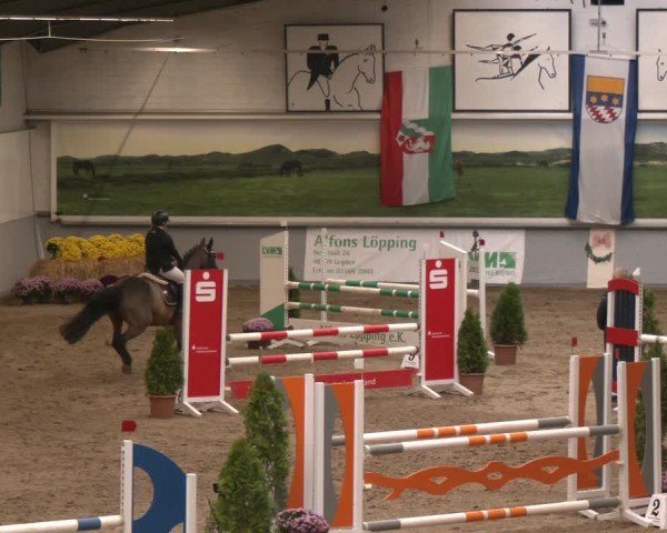 Reitturnier Legden | Ponyturnier 2024