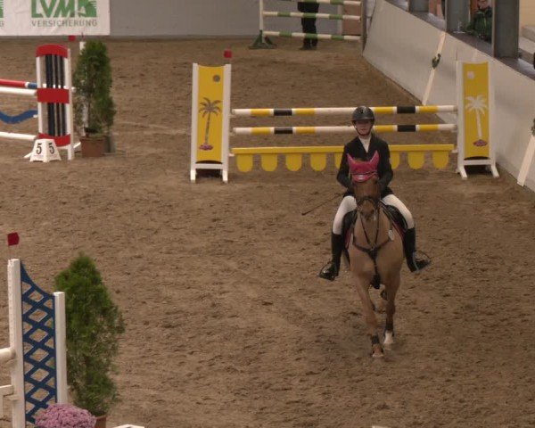 Reitturnier Legden | Ponyturnier 2024