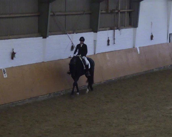Reitturnier Datteln 2024
