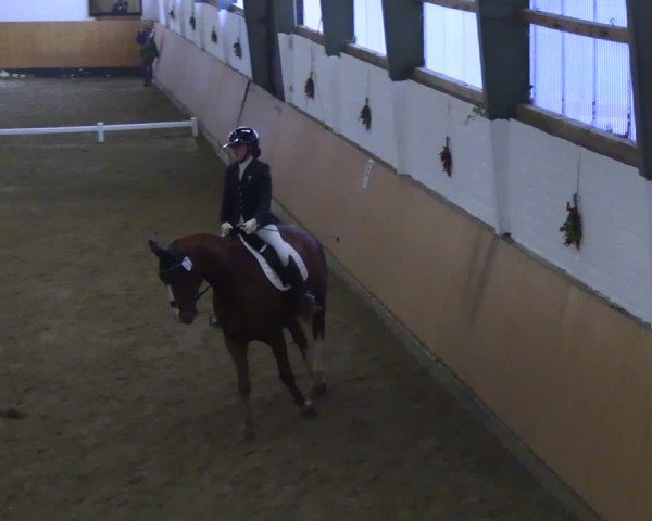 Reitturnier Datteln 2024