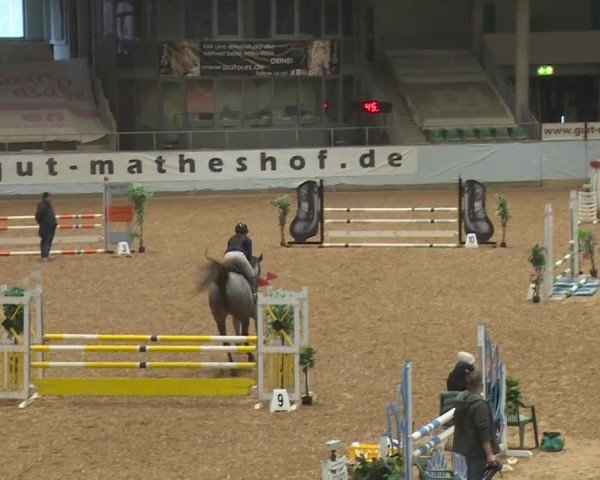 Reitturnier Kreuth/Opf. 2024