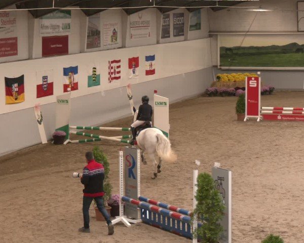 Reitturnier Legden | Ponyturnier 2024