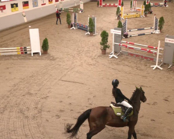 Reitturnier Legden | Ponyturnier 2024