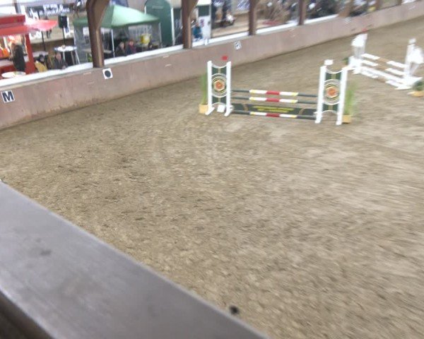 Reitturnier Bad Salzuflen 2024