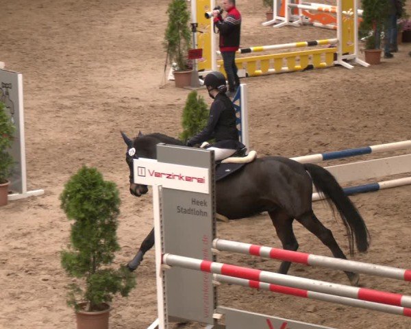 Reitturnier Legden | Ponyturnier 2024