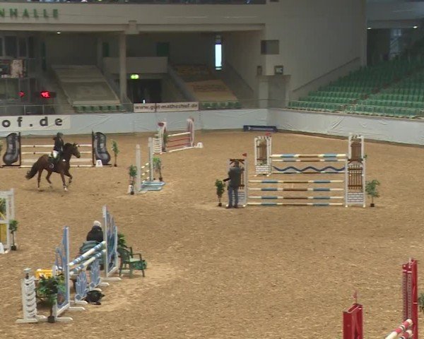 Reitturnier Kreuth/Opf. 2024