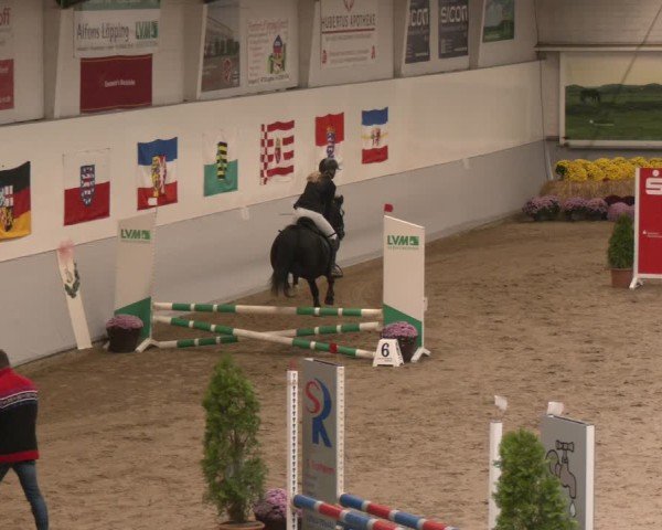 Reitturnier Legden | Ponyturnier 2024