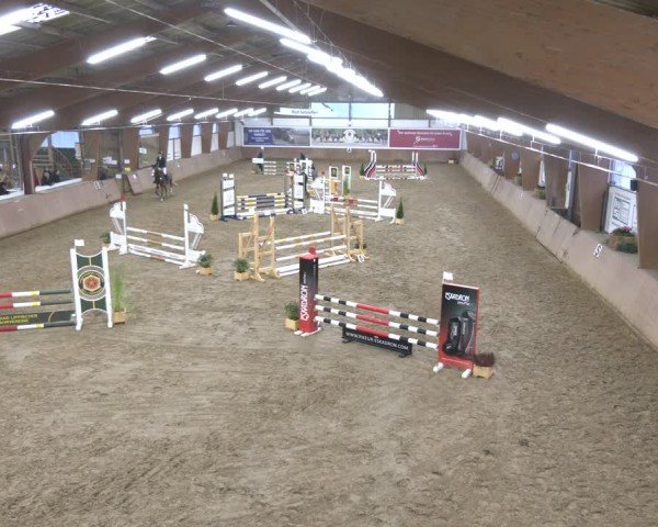 Reitturnier Bad Salzuflen 2024