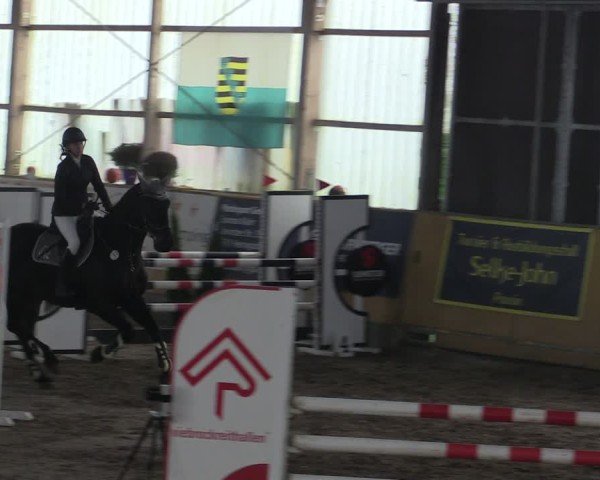 Reitturnier Pausin 2024