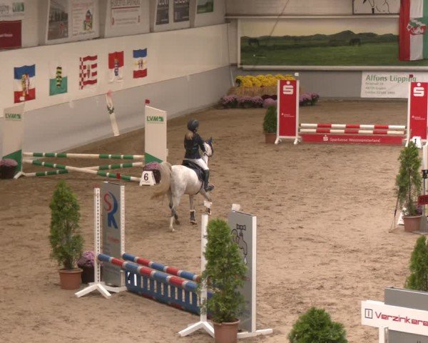 Reitturnier Legden | Ponyturnier 2024