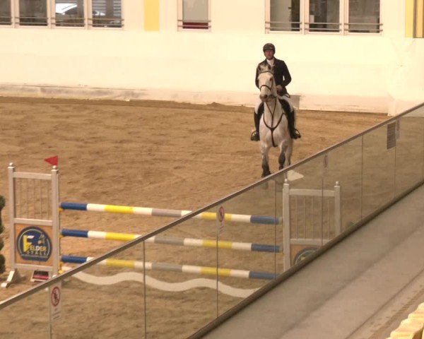 Reitturnier Stadl-Paura 2024