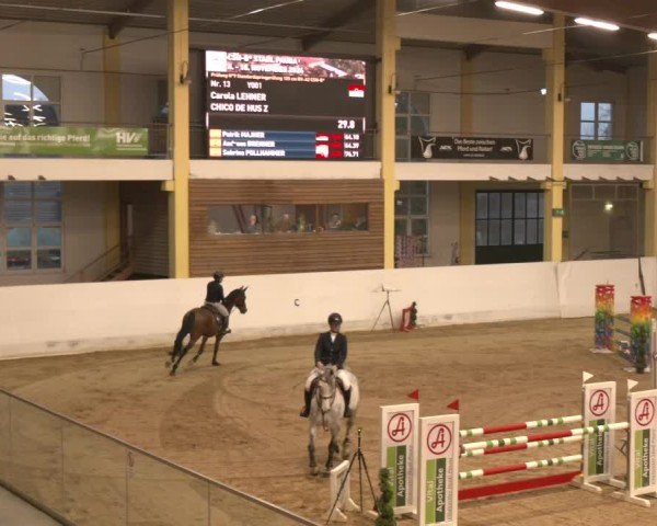 Reitturnier Stadl-Paura 2024