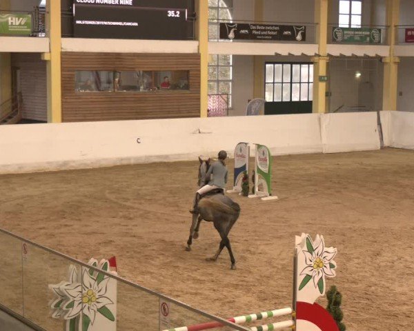 Reitturnier Stadl-Paura 2024