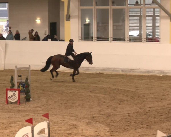 Reitturnier Stadl-Paura 2024
