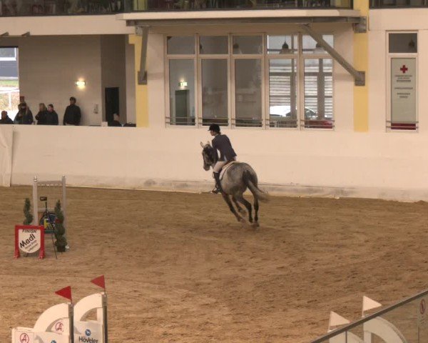 Reitturnier Stadl-Paura 2024