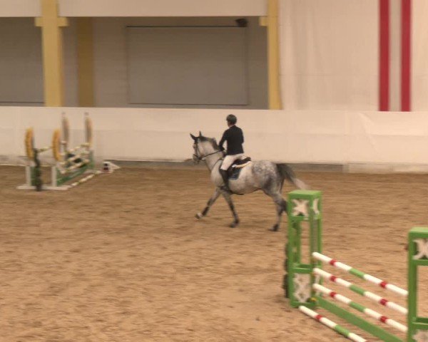 Reitturnier Stadl-Paura 2024