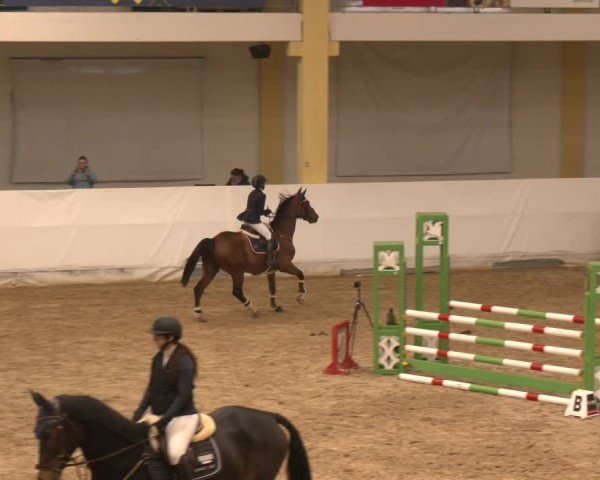 Reitturnier Stadl-Paura 2024