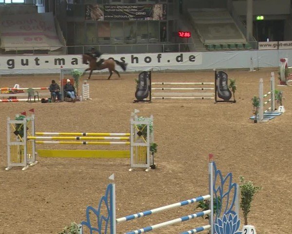 Reitturnier Kreuth/Opf. 2024