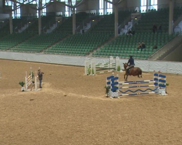 Reitturnier Kreuth/Opf. 2024