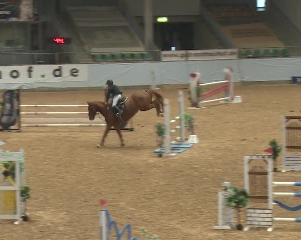 Reitturnier Kreuth/Opf. 2024
