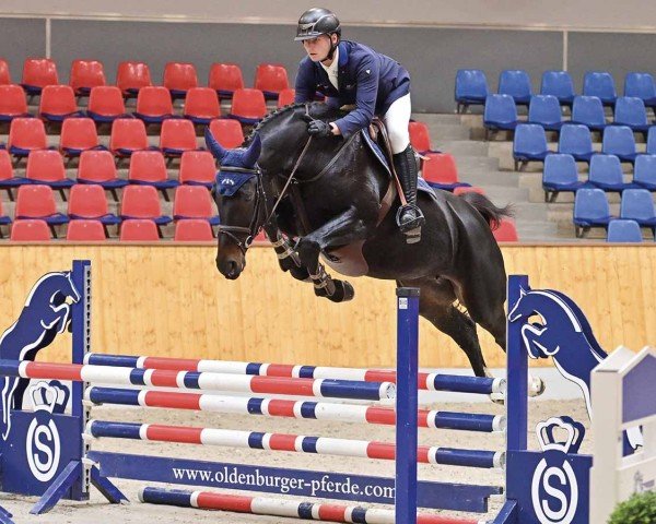 horse Contessa B 3 (Oldenburg show jumper, 2019, from Conthargos)