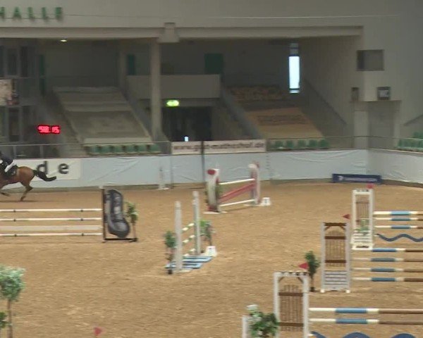 Reitturnier Kreuth/Opf. 2024
